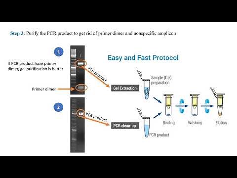 Gateway cloning. Part 2: Generating entry clone through BP reaction