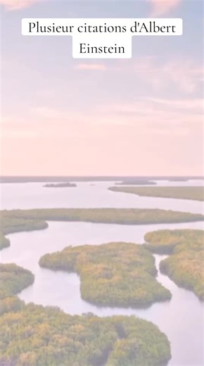 Citations inspirantes d'Albert Einstein