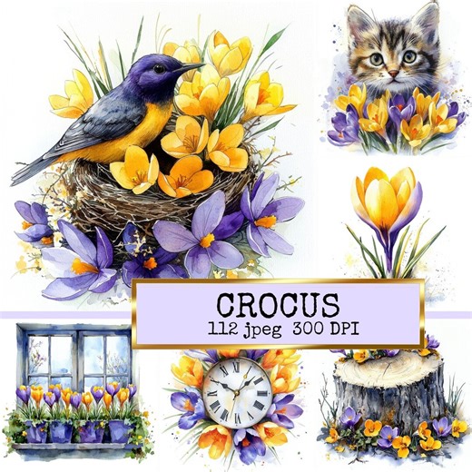 Crocus Clipart JPEG, Watercolor Crocus Flowers, Botanical Spring Floral Graphics for Scrapbook, Card Making, Commercial Use - Etsy