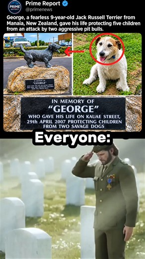 The Dog Who Became a Hero ❤️🐕