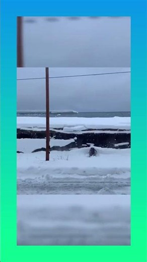 Clearing heavy snow from solar panels to keep them working efficiently! ☀️#solarpanels #snow #winter