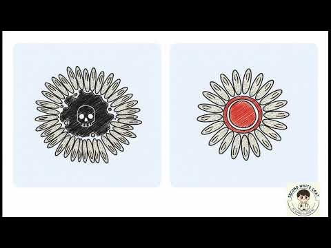 Histopathology and Diagnosis of Glioblastoma Multiforme: USMLE