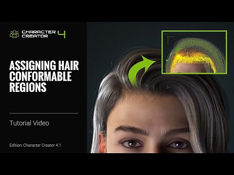 Character Creator 4 Tutorial - Assigning Hair Conformable Regions