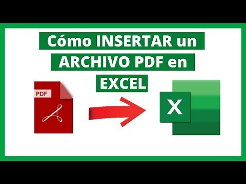 How to INSERT a PDF FILE into EXCEL ✅