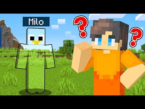 EXTREME CAMOUFLAGE Hide and Seek in Minecraft Prop Hunt