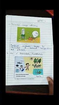 Green Chemistry Assignment Explained | Principles, Importance & Applications | D Pharma Project