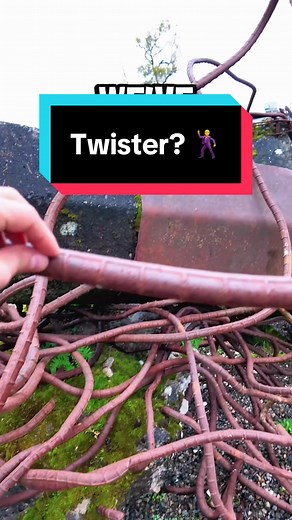 Replying to @preacher90x Would you figure out the hint faster than me? To find the best geocaches, try filtering to caches with HIGH FAVORITE POINTS! Anything with 20 is a local favorite and probably a geocache! Follow me to learn more 😊 #Geocaching #Geocache #CacheMeIfYouCan #Hullsome