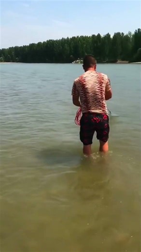 catching big freshwater fish #fishing #net #fishinglife