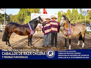 GRANDES PREMIOS Final Nacional de Exposición de Caballos de Raza Chilena y Pruebas Funcionale