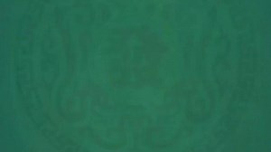 1107-鹏飞-V-7201280-一键 (30)_6792fce03c72a