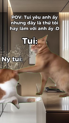 Chin nhỗi aiu 😘 #couple #memes #memecut #FYP #trending #tiktokshop #tiktok #catsoftiktok #cat #capcut #cute #funny #memestiktok #meme #thekatyshop #labubu #sale #gaubong