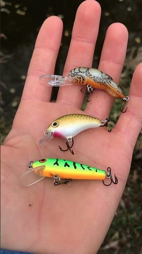 The Best Lures for Creek Fishing!