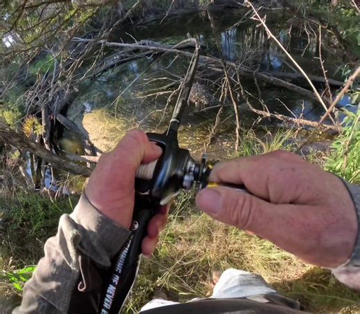 Murray Cod Fishing Tips for Success