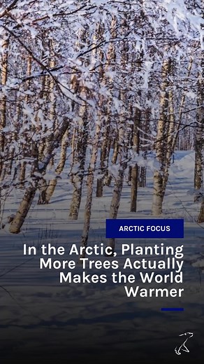 Think planting trees in the Arctic helps cool the planet? Think again. In cold regions, trees can actually trap heat and disturb carbon-rich soils—making global warming worse. Read more here: https://www.arcticfocus.org/stories/arctic-planting-more-trees-actually-makes-world-warmer/ | Arctic Research Foundation