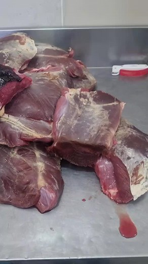 The Smoking Pig on TikTok