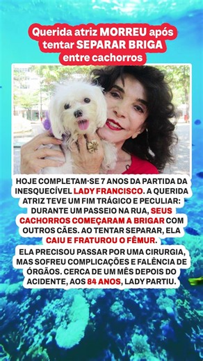 FIM TRÁGICO: atriz morreu tentando separar briga de cães