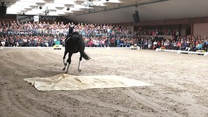 1K reactions · 150 shares | The third stop of the TRT Live World Tour...