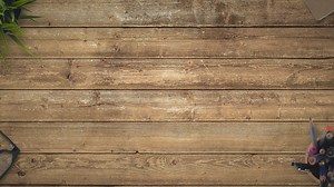 Bitcoin Halving: What to Expect in 2024