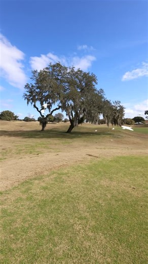 Christine & Partners on Instagram: "Golf course views, preserve-side privacy, and a lifestyle that lets you change it up. ⛳🌿 This home sits on the 3rd fairway of the Heritage Course at Del Webb Spruce Creek Golf & Country Club, one of four nine-hole courses—so every round of 18 offers a fresh experience. With mature trees creating a natural buffer from the fairway and a preserve lot next door, this setting delivers peace, privacy, and beautiful wildlife views. Florida golf course living… done r