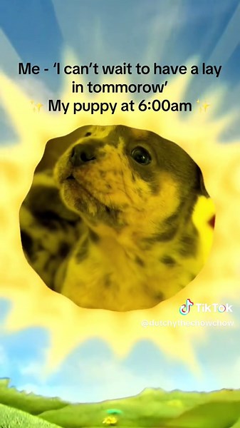 Teletubby Songs and Puppy Love