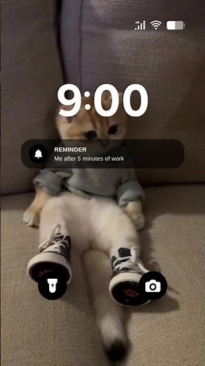 Me after 5 mins of work😌