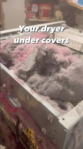 This is your DRYER, ew! 🤮 Clean it NOW! #Dryer #Cleaning #Dust