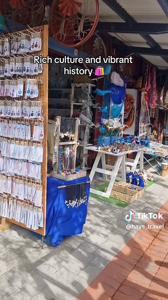 🇿🇦✨ Why South Africa should be on your bucket list ✨🇿🇦 From jaw-dropping wildlife to breathtaking scenery… you’ll see why it’s a must-visit 🌏🦁 #SouthAfrica #TravelTok #HaysTravel #BucketList