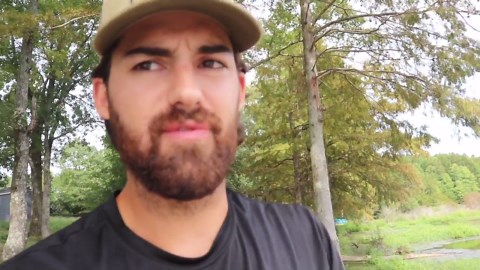 Fruit used as bait triggers a surprising catfish feeding frenzy