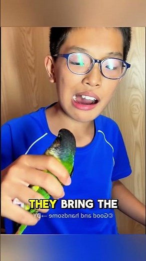 This Parrot Pulls Out Kids’ Teeth!