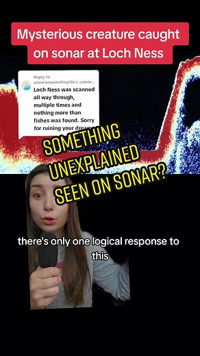 10 Metre Long Creature in Loch Ness: Unexplained Phenomenon