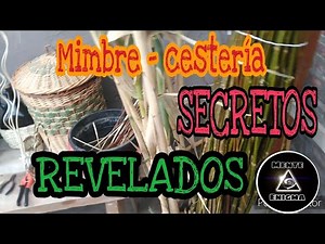 COMO PREPARAR MATERIAL PARA CESTERÍA. TODOS LOS SECRETOS.