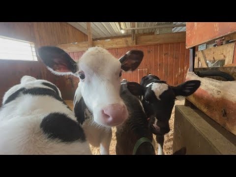 Smiling Hill Farm stands in the way of Maine Turnpike Authority's Gorham connector project
