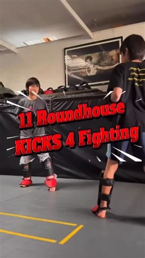 11 Roundhouse Kicks For Fighting courtesy of the Twinjas - VO by Twinja Dad, Steven Ho. Let’s Gooooooo! | Bruce Lee