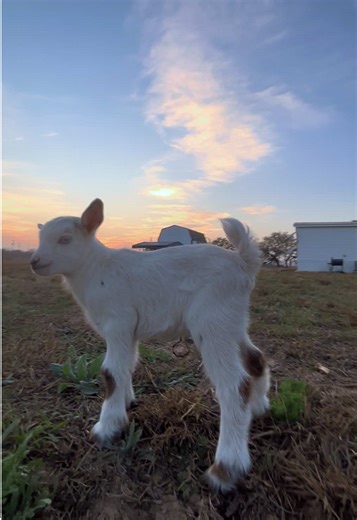 Stressed Out Moments That Are Hilariously Relatable