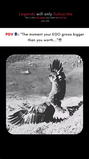 The moment where your EGO grows bigger #discipline #motivation #stayfocused #viral #ego #shortfeed