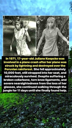 Juliane Koepcke's Miraculous Story of Surviving in the Jungle for 11 Days