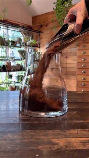 Creating a Magical Fairy Garden Terrarium