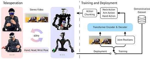 Open-TeleVision allows VR-type control of remote robot