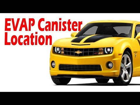 Chevrolet Camaro: Evap canister location