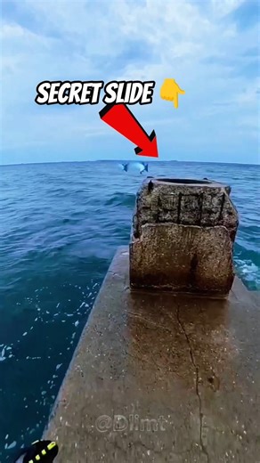 Never jump into random ocean holes!