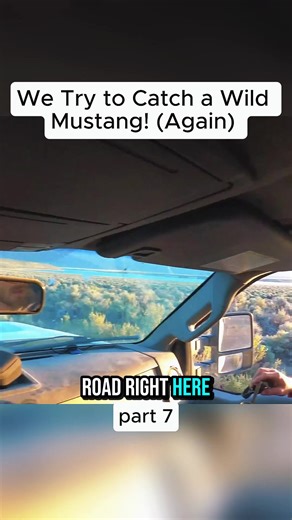 We try to catch a wild mustang! (Again) #horsesoftiktok #theywontlikethis #mustangchallenge #part7