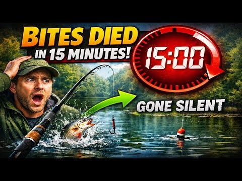 The 15-Minute Curse: Why Fish REALLY Stop Biting (It's Not What You Think)