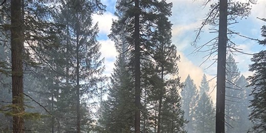 Firefighters burned 31 acres of piles in Butterfly Valley