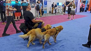 CreateLED's InfoComm 2024 Recap: A Triumph of Innovation and...