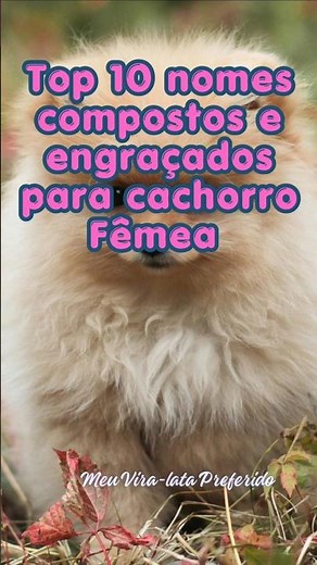 🐾🐶TOP 10 FUNNY NAMES FOR FEMALE DOGS #dog #dogNames #pets