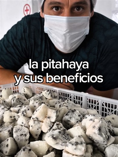 ¿Sabías todo esto acerca de la pitahaya? En una fruta llena de propiedades y beneficios para la salud 🤩🙌🏼 En #thegreens tenemos la pitahaya amarilla pelada, picada en trozos y congelada 🥳🎉👏🏼 #pitahaya #dragonfruit #frozen #limaperu