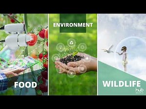 Technology and environment