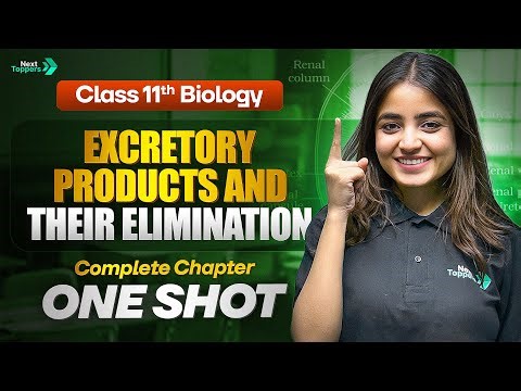 Excretory Products and their Elimination Class 11 One Shot | 11th Biology Chapter-16 Revision 2026