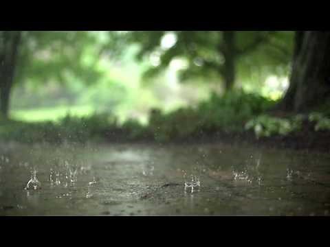 Mindful Minute - Raindrops (Classroom, Studying, School Mental Break)