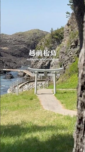 🌸22年、渡れなかった先へ。🌸 #福井県 #福井観光 #福井旅行